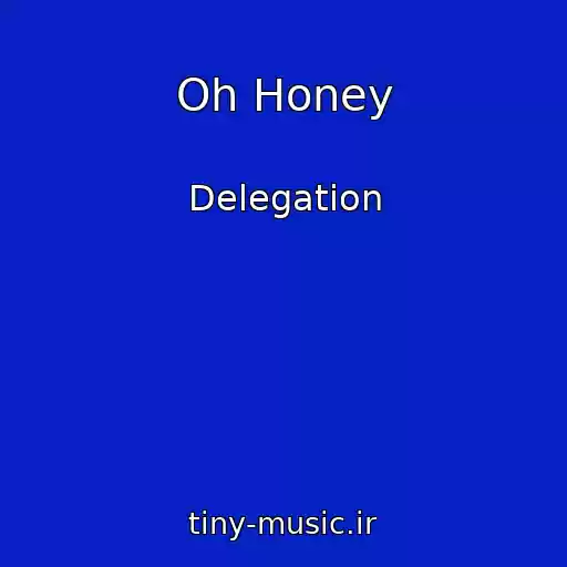 کاور آهنگ Oh Honey از Delegation