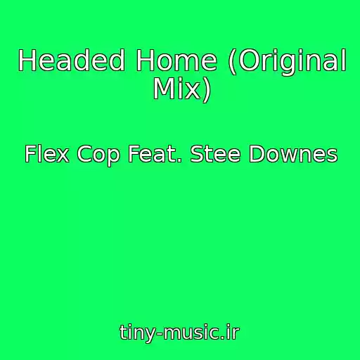 کاور آهنگ Headed Home (Original Mix) از Flex Cop Feat. Stee Downes