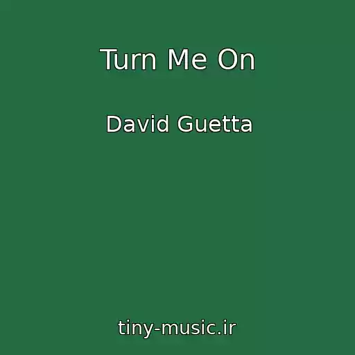 کاور آهنگ Turn Me On از David Guetta