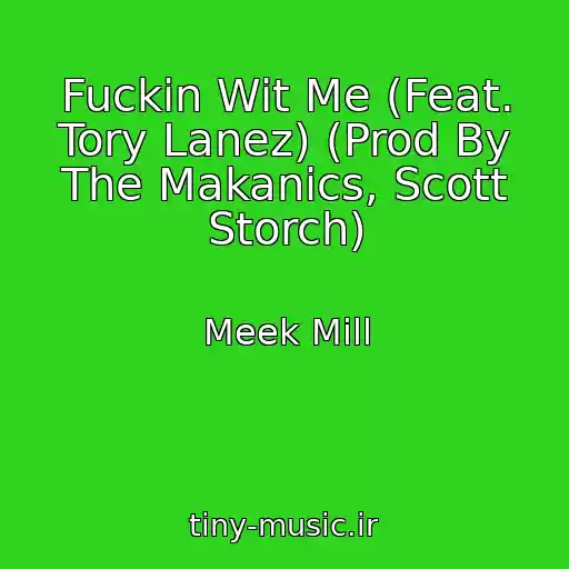 کاور آهنگ Fuckin Wit Me (Feat. Tory Lanez) (Prod By The Makanics, Scott Storch) از Meek Mill