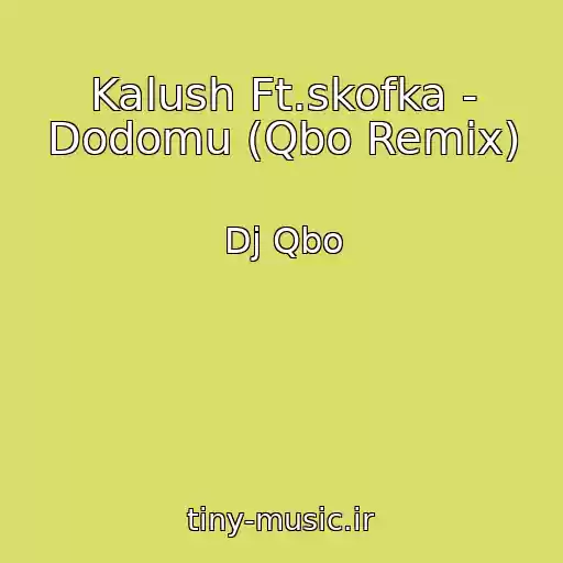 کاور آهنگ Kalush Ft.skofka - Dodomu (Qbo Remix) از Dj Qbo
