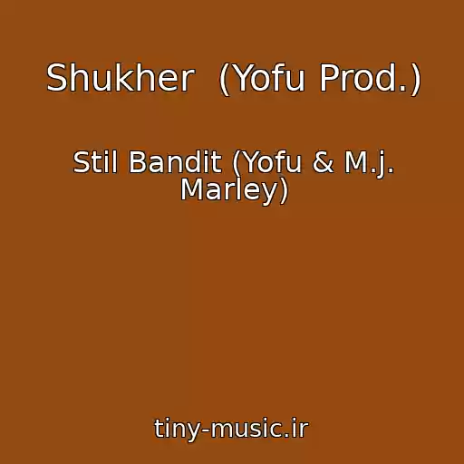 کاور آهنگ Shukher  (Yofu Prod.) از Stil Bandit (Yofu & M.j. Marley)