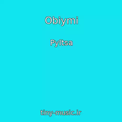 کاور آهنگ Obіymi از Pyltsa