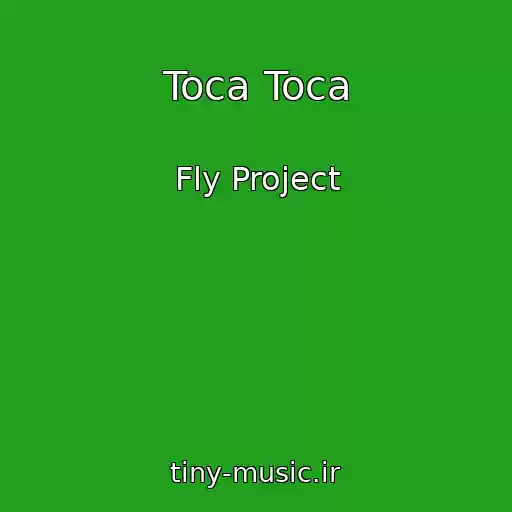 کاور آهنگ Toca Toca از Fly Project