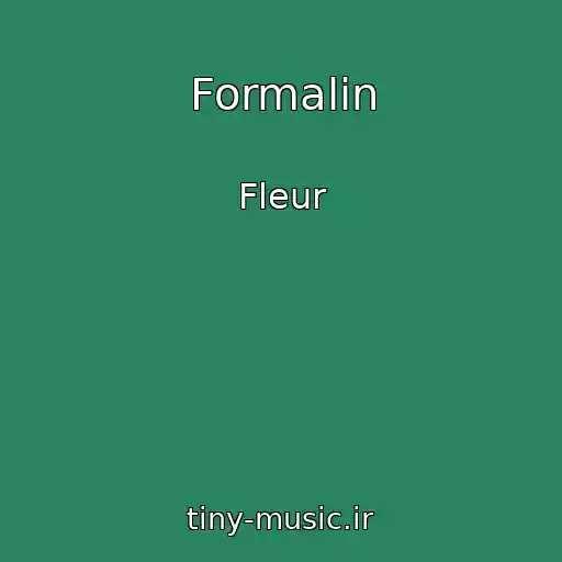 کاور آهنگ Formalin از Fleur