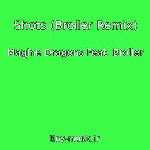 کاور آهنگ Shots (Broiler Remix) از Magine Dragons Feat. Broiler