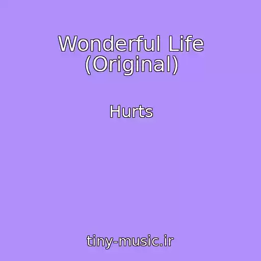 کاور آهنگ Wonderful Life (Original) از Hurts