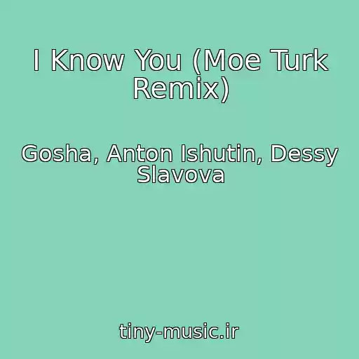 کاور آهنگ I Know You (Moe Turk Remix) از Gosha, Anton Ishutin, Dessy Slavova