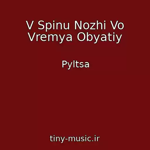 کاور آهنگ V Spinu Nozhi Vo Vremya Obyatiy از Pyltsa