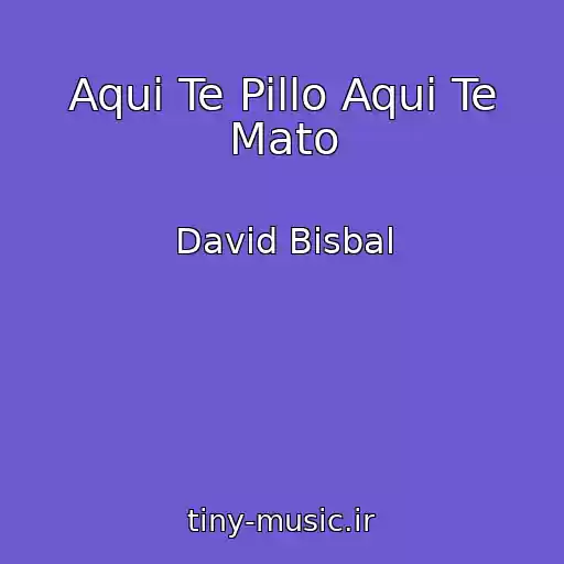 کاور آهنگ Aqui Te Pillo Aqui Te Mato از David Bisbal