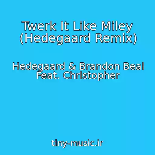 کاور آهنگ Twerk It Like Miley (Hedegaard Remix) از Hedegaard & Brandon Beal Feat. Christopher