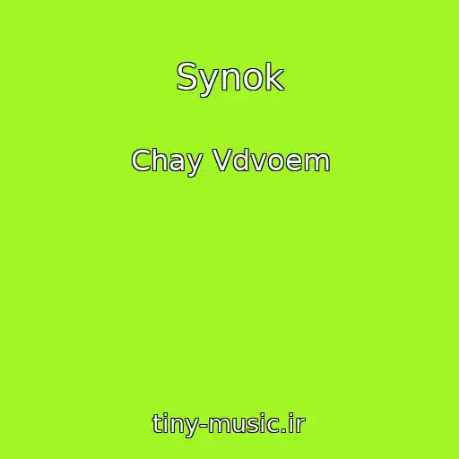 کاور آهنگ Synok از Chay Vdvoem