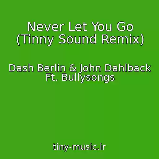 کاور آهنگ Never Let You Go (Tinny Sound Remix) از Dash Berlin & John Dahlback Ft. Bullysongs