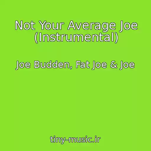 کاور آهنگ Not Your Average Joe (Instrumental) از Joe Budden, Fat Joe & Joe