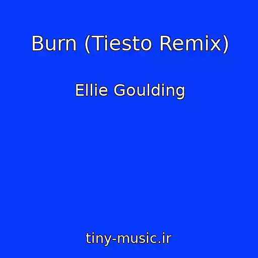 کاور آهنگ Burn (Tiesto Remix) از Ellie Goulding