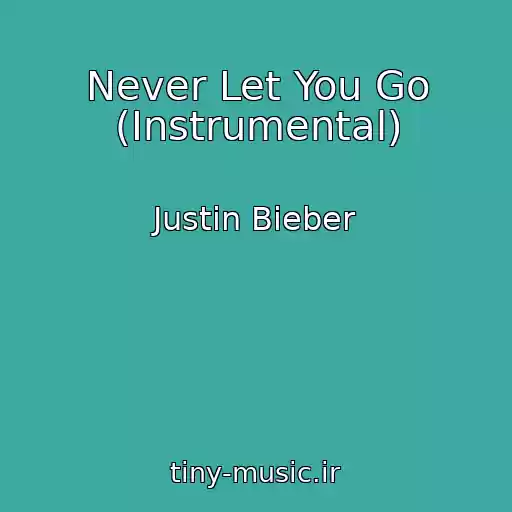 کاور آهنگ Never Let You Go (Instrumental) از Justin Bieber
