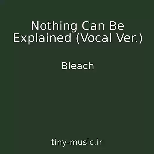 کاور آهنگ Nothing Can Be Explained (Vocal Ver.) از Bleach
