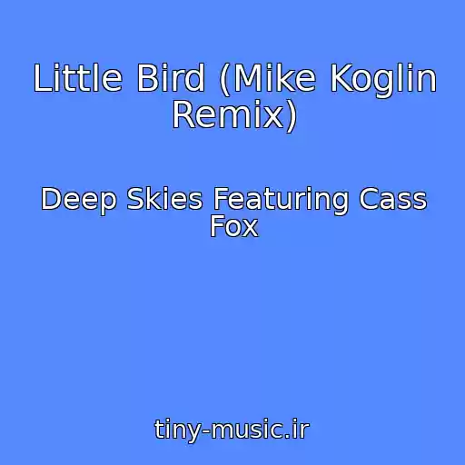کاور آهنگ Little Bird (Mike Koglin Remix) از Deep Skies Featuring Cass Fox