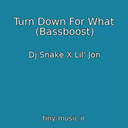 کاور آهنگ Turn Down For What (Bassboost) از Dj Snake X Lil' Jon
