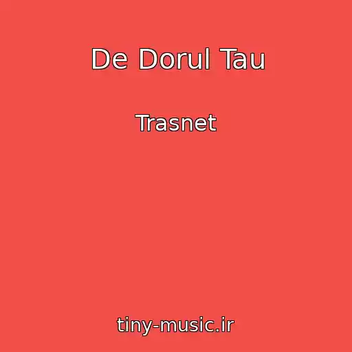 کاور آهنگ De Dorul Tau از Trasnet