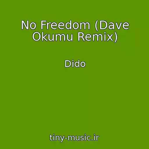 کاور آهنگ No Freedom (Dave Okumu Remix) از Dido