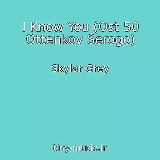 کاور آهنگ I Know You (Ost 50 Ottenkov Serogo) از Skylar Grey