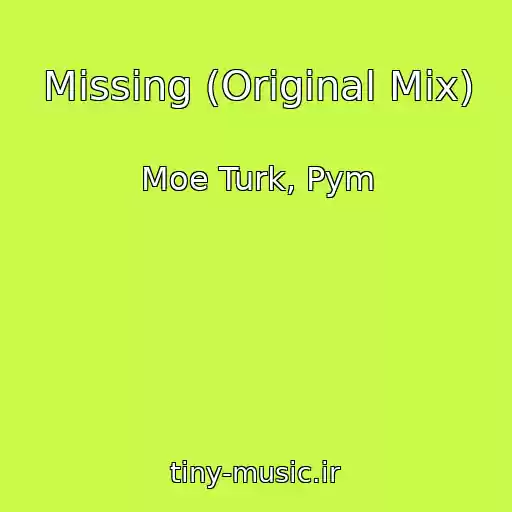 کاور آهنگ Missing (Original Mix) از Moe Turk, Pym