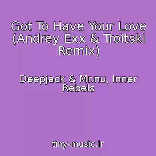 کاور آهنگ Got To Have Your Love (Andrey Exx & Troitski Remix) از Deepjack & Mr.nu, Inner Rebels