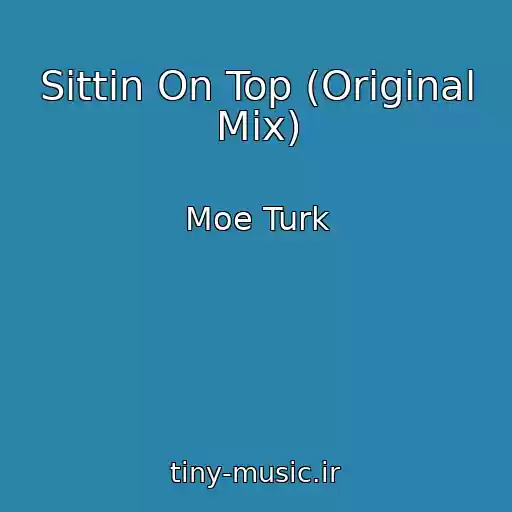 کاور آهنگ Sittin On Top (Original Mix) از Moe Turk