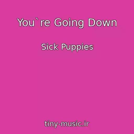 کاور آهنگ You`re Going Down از Sick Puppies