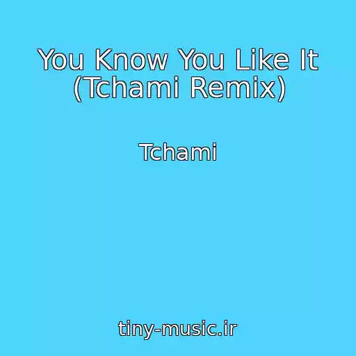 کاور آهنگ You Know You Like It (Tchami Remix) از Tchami