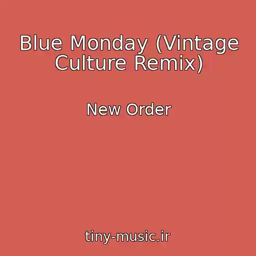 کاور آهنگ Blue Monday (Vintage Culture Remix) از New Order