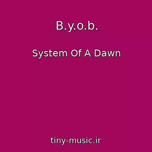 کاور آهنگ B.y.o.b. از System Of A Dawn