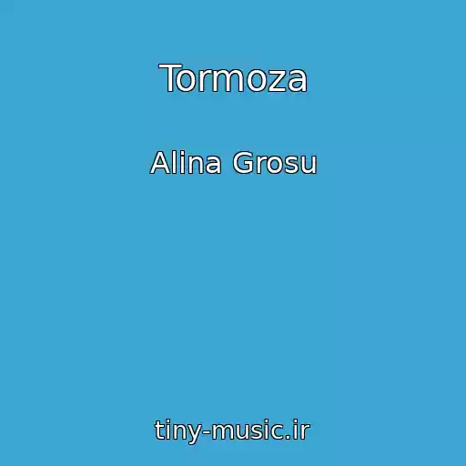 کاور آهنگ Tormoza از Alіna Grosu