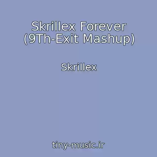 کاور آهنگ Skrillex Forever (9Th-Exit Mashup) از Skrillex