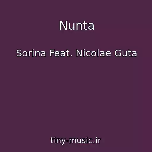 کاور آهنگ Nunta از Sorina Feat. Nicolae Guta