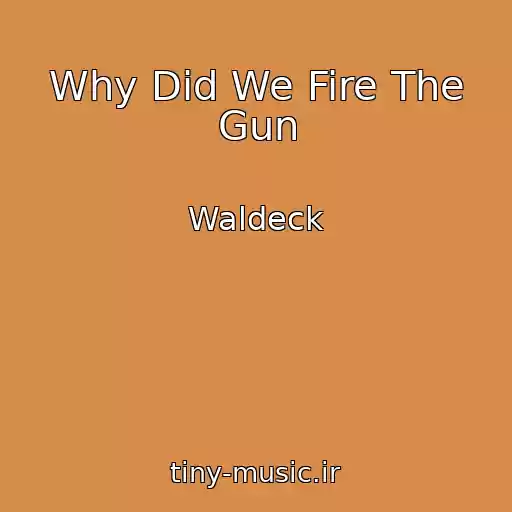 کاور آهنگ Why Did We Fire The Gun از Waldeck