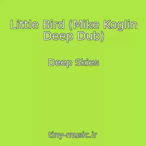 کاور آهنگ Little Bird (Mike Koglin Deep Dub) از Deep Skies