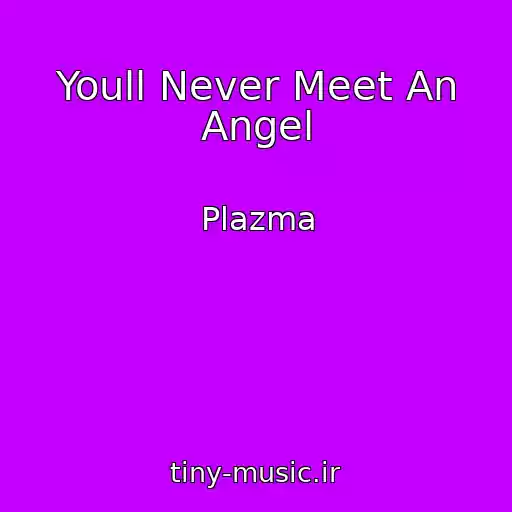 کاور آهنگ Youll Never Meet An Angel از Plazma