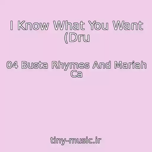 کاور آهنگ I Know What You Want (Dru از 04 Busta Rhymes And Mariah Ca