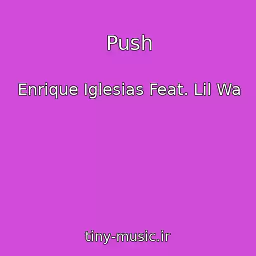 کاور آهنگ Push از Enrique Iglesias Feat. Lil Wa