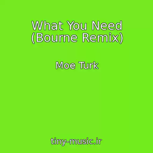 کاور آهنگ What You Need (Bourne Remix) از Moe Turk