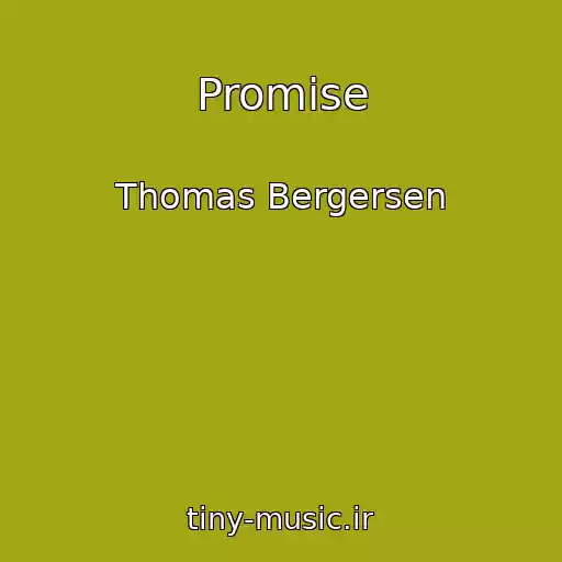 کاور آهنگ Promise از Thomas Bergersen