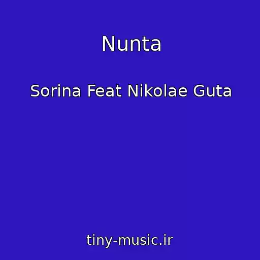کاور آهنگ Nunta از Sorina Feat Nikolae Guta
