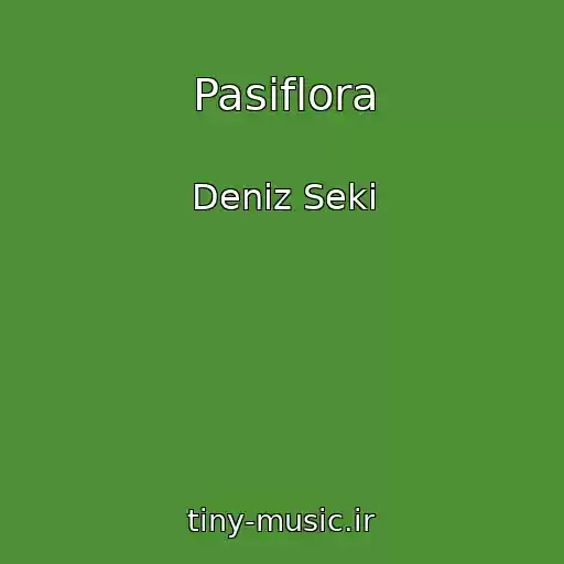 کاور آهنگ Pasiflora از Deniz Seki