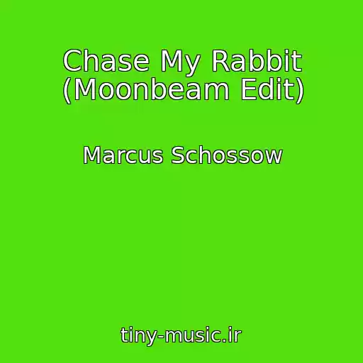 کاور آهنگ Chase My Rabbit (Moonbeam Edit) از Marcus Schossow
