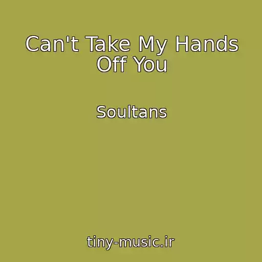 کاور آهنگ Can't Take My Hands Off You از Soultans