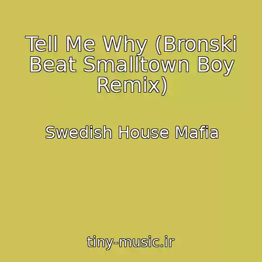 کاور آهنگ Tell Me Why (Bronski Beat Smalltown Boy Remix) از Swedish House Mafia