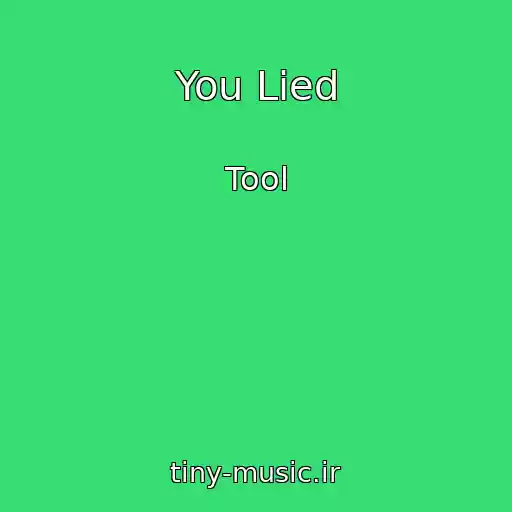 کاور آهنگ You Lied از Tool