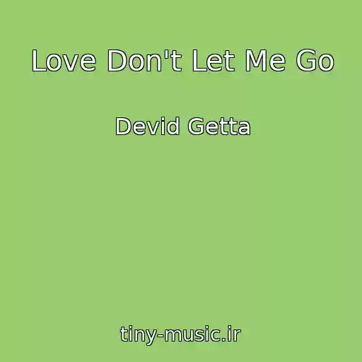 کاور آهنگ Love Don't Let Me Go از Devid Getta